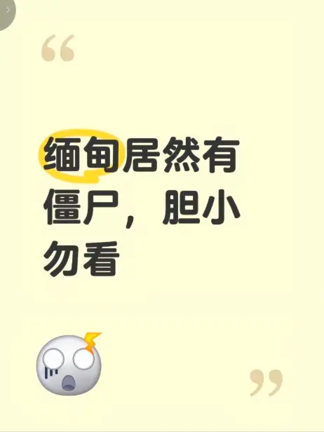 缅甸僵尸出土事件现场全程录像揭秘 - 高清无删减完整版免费在线观看