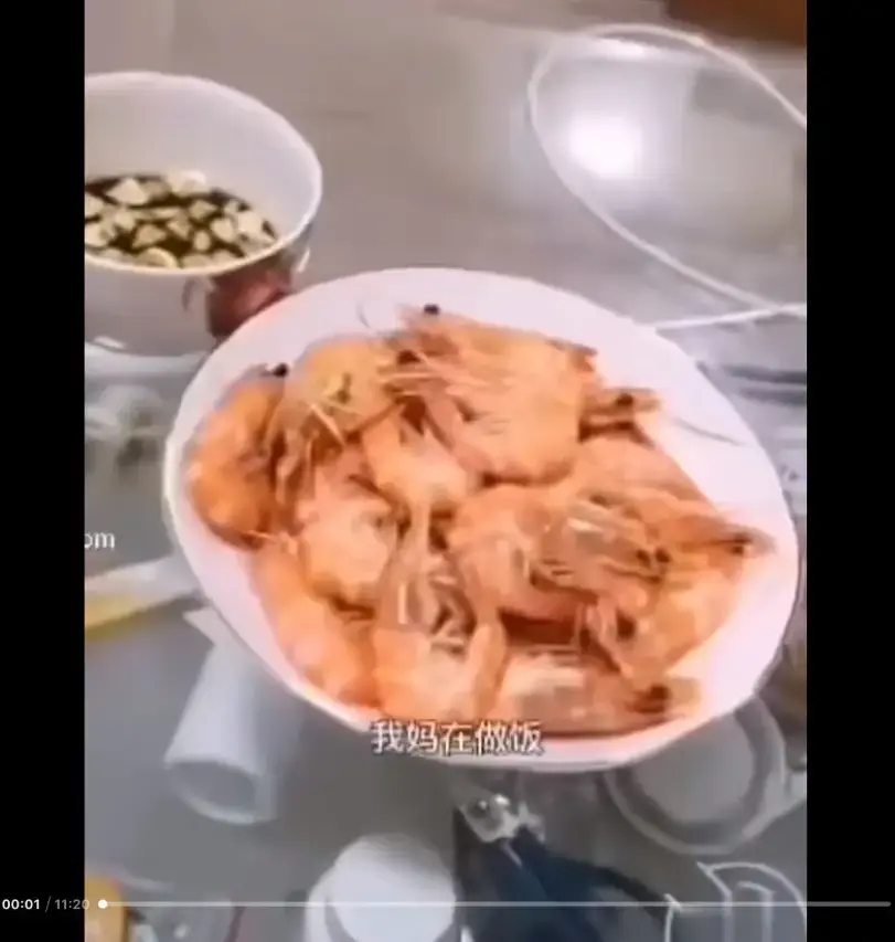 《大虾母子厨房完整版》高清视频全集免费观看 - 猎奇视频揭开梗的神秘面纱 - 百度夸克迅雷网盘资源在线看 - 大虾母子厨房完整版来龙去脉一看就明白