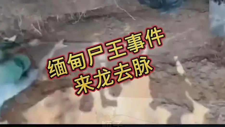 《缅甸僵尸出土事件视频》完整版资源下载-在线观看高清未删减全程录像-免费播放缅甸僵尸出土事件始末原视频